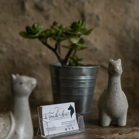 La Ferme Des Andes - L'atelier Apartmán