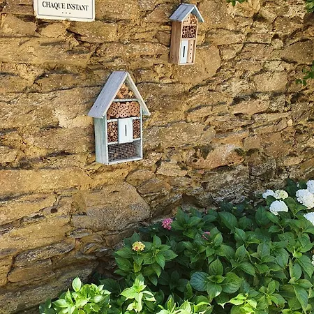 La Ferme Des Andes - L'atelier *