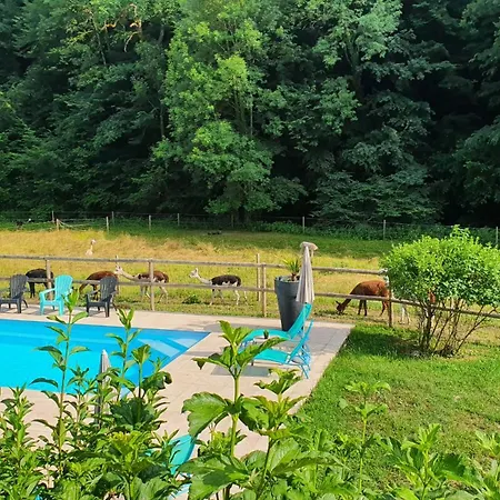 La Ferme Des Andes - L'atelier Quins