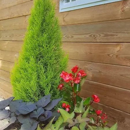 La Ferme Des Andes - L'atelier