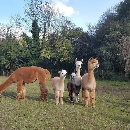 La Ferme Des Andes - L'atelier Apartmán *