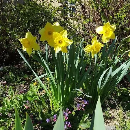La Ferme Des Andes - L'atelier Apartmán