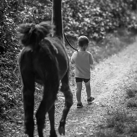 La Ferme Des Andes - L'atelier * Quins