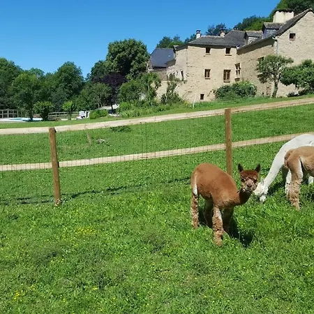 Apartment La Ferme Des Andes - L'atelier