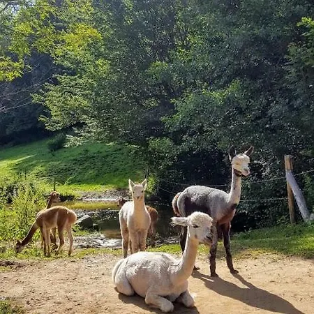La Ferme Des Andes - L'atelier *