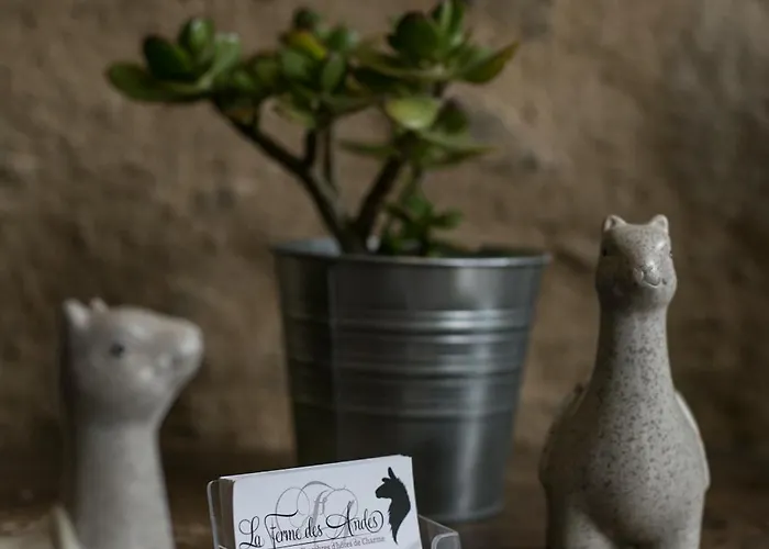 La Ferme Des Andes - L'atelier アパート