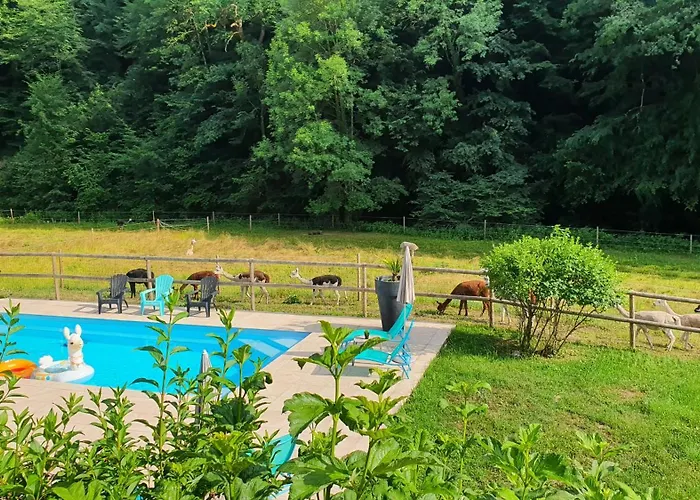 La Ferme Des Andes - L'atelier Quins