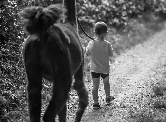 La Ferme Des Andes - L'atelier * Quins