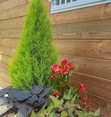 La Ferme Des Andes - L'atelier