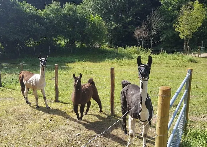 La Ferme Des Andes - L'atelier