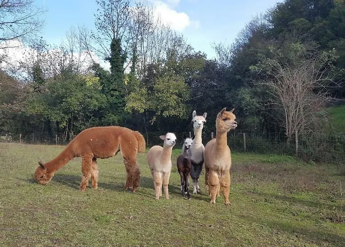 La Ferme Des Andes - L'atelier アパート *