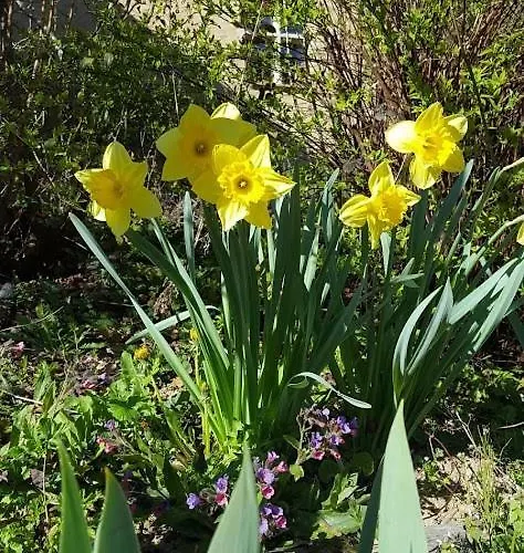 La Ferme Des Andes - L'atelier アパート