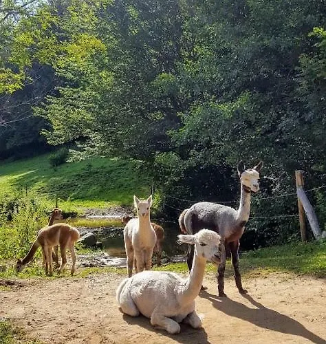 La Ferme Des Andes - L'atelier *